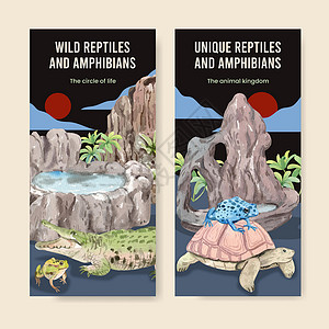 具有爬行动物和两栖动物概念 水色风格的飞板模板异国广告营销热带爬虫情调青蛙动物园插图冷血背景图片
