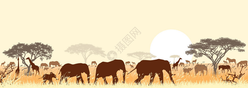 非洲草原带有动物和树木的热带草原景观设计图片