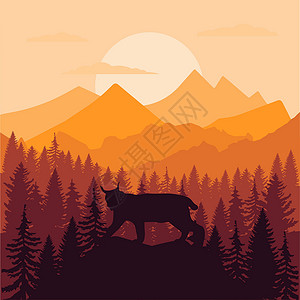 蒙大拿州立大学森林林地背景纹理 野生小山鼠Lynx日落(EPS)设计图片