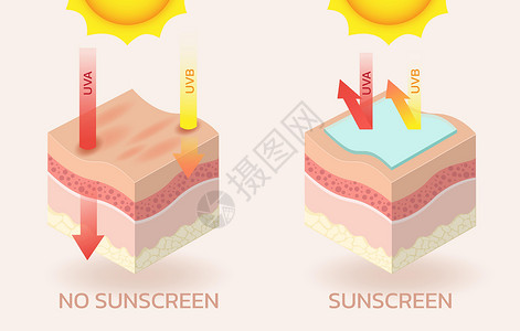 广告对生源的影响防晒霜阳光广告安全静脉屏幕管子化妆品皮肤科剪贴簿产品设计图片