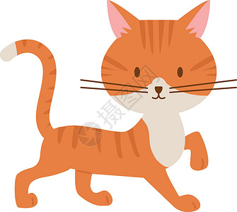 金吉拉猫步行小猫 红毛猫 金洁宠物设计图片