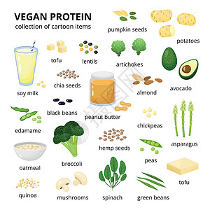 饮食不节制一套素食蛋白质来源设计图片