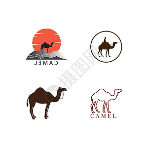沙漠图标骆驼徽标荒野沙漠旅行标识哺乳动物插图沙丘大篷车运输艺术设计图片