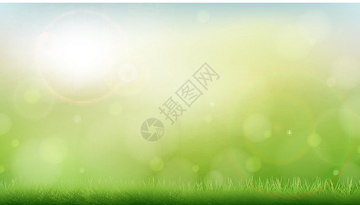 丰富多彩阳光清晨春夏早 绿色自然 模糊bokeh背景和草设计图片