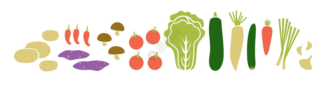 心里美萝卜水平食物组 蔬菜 根和蘑菇 矢量平方插图在白色上隔离设计图片