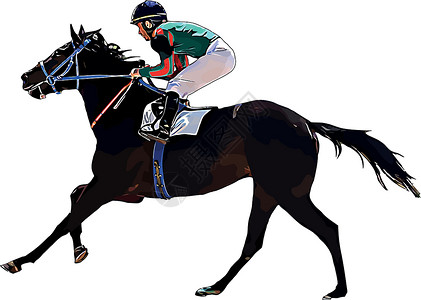内蒙古赛马赛马和赛马骑手在赛马比赛中 孤立于白色背景运动骑手骑士骑师冠军良种动物竞赛马场展示设计图片