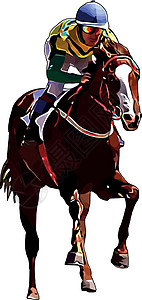 马在飞赛马和赛马骑手在赛马比赛中 孤立于白色背景竞赛骑士马场动物杯子跑步赌注良种展示速度设计图片