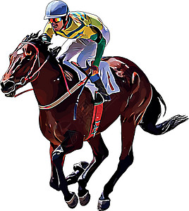 中超比赛赛马和赛马骑手在赛马比赛中 孤立于白色背景速度骑手展示跑步马场马术良种骑士动物竞赛设计图片