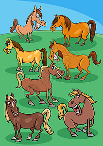 一群马草原上的卡通马匹养殖动物设计图片
