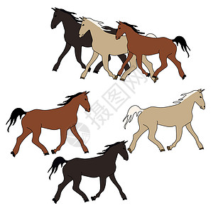 炖猪蹄一组不同颜色的马并排分开 一匹深色和浅色的马 强壮的动物 向量例证设计图片
