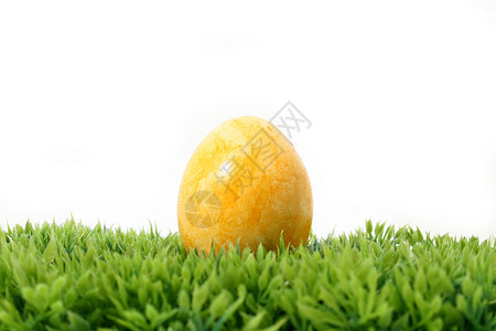 草上黄黄东蛋高清图片