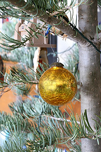 圣诞树圆形 破解 庆典 装饰品 玻璃 地球 季节性的 球背景图片