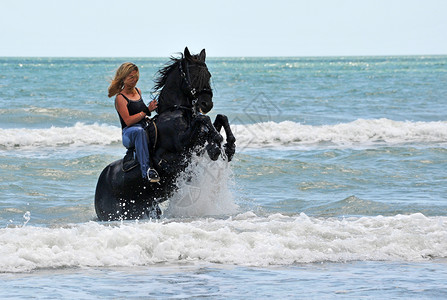 在海中养马 运动 户外的 危险的 黑色的 水 天空 金发女郎背景图片