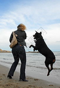 女人和打狗 黑色的 犬类 罗威纳犬 警卫 海 朋友 危险的 海滩图片
