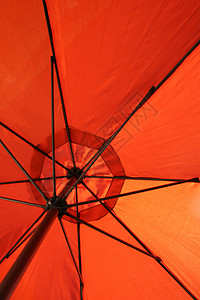伞式雨伞 游泳 游泳池 海 遮阳板 遮阳棚图片