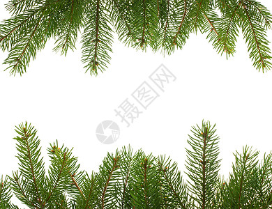 来自 firtree 树枝的边框 冬天 细绳背景图片