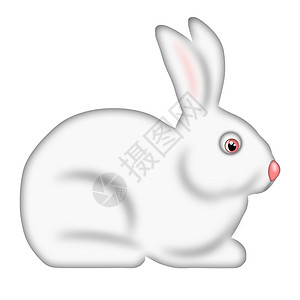 兔子月球白复活节兔子边视图孤立的白色背景背景
