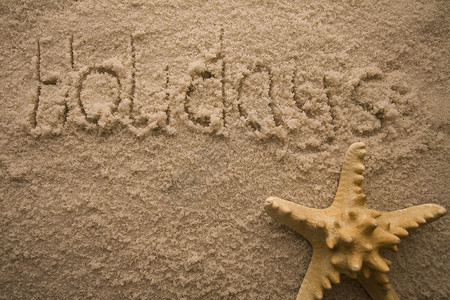 沙子上的案文 假期 海星 棕色的 夏天背景图片