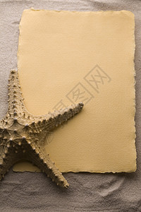 沙沙上的信 爱 邀请函 棕色的 海滩 自然 假期背景图片