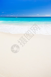 加勒比巴巴多斯马克斯韦海滩 海岸 加勒比地区 热带图片