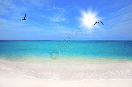 荷属阿鲁巴岛风景加勒比地区高清图片