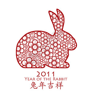 2011 年兔子年华花背景图片