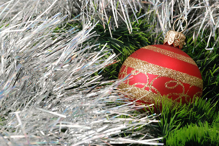 圣诞背景 有毛树 玻璃 球 礼物 红色的 白色的背景图片