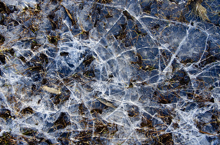 冷冻沼泽的冰水冰 冬季背景 干净的 季节 液体 半透明图片