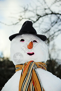 戴帽子的雪人 摄影 圆圈 户外 季节 脸 霜背景图片