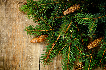 带松松子的圣诞鲜树 框架 乡村 古董 复古的 装饰风格 老的背景图片
