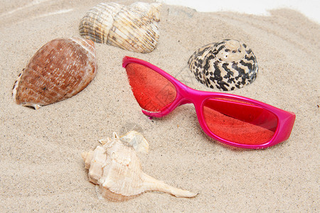 海滩上的粉色太阳镜和贝壳背景图片