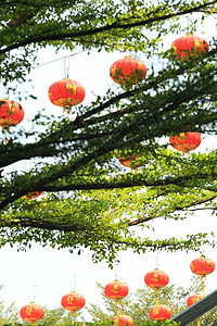 中国灯笼 佛教徒 晚上 文化 传统 庆祝 城市 点燃 装饰品背景图片
