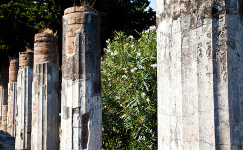 Pompeii - 考古遗址 坎帕尼亚 意大利语 废墟欧洲高清图片素材