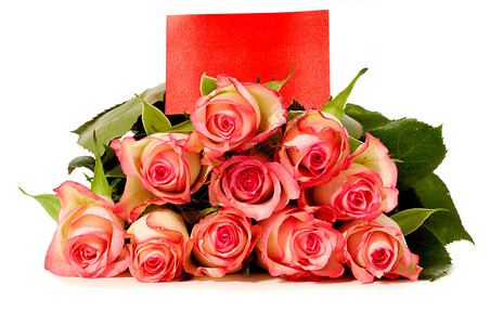 带礼品卡的玫瑰 宏观 礼物 叶子 花束 浪漫的 假期背景图片