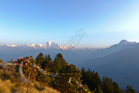 向庞坡山鬼探险 旅行 走 寒冷的 游客 冬天 尼泊尔背景图片