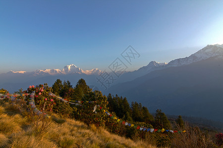 向庞坡山鬼探险 寒冷的 顶峰 尼泊尔 潘山背景图片