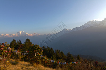 向庞坡山鬼探险 走 跋涉 尼泊尔 顶峰 潘山 行 寒冷的背景图片
