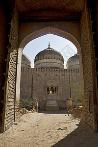 巴基斯坦清真寺Derawar堡清真寺门背景