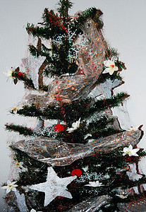 芝麻装饰 圣诞节 树 季节背景图片