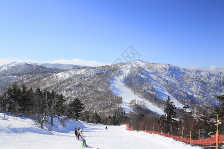 滑雪运行 雪花 滑雪胜地 冬天 天空 阳光 日本 滑雪道背景