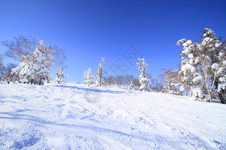 滑雪运行 日本 雪原 自然 滑雪道 滑雪胜地 寒冷的背景