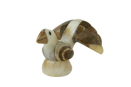 鸟类装饰 白色的 饰品 石头 泰国 尾巴 壳 母亲背景图片