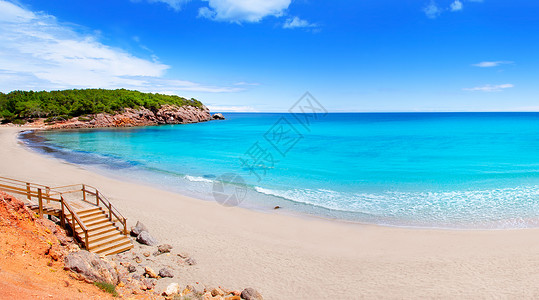 伊比萨岛Cala Nova海滩 有绿绿水 透明的 海景背景图片