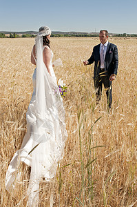 在田间结婚的情侣 美丽 女士 新娘 婚姻图片