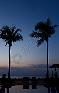 热带热带假日 海滩 岛 逃离 夏威夷 旅行 棕榈树 泻湖图片
