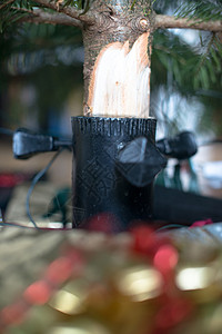 在圣诞树下 装饰品 金子 冷杉 树干 金的 弓 十二月背景图片