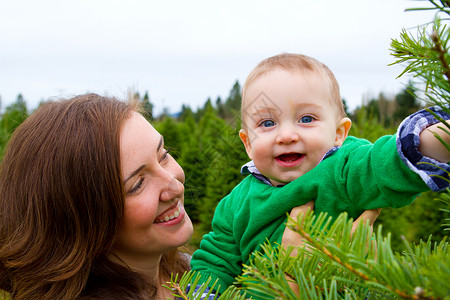 圣诞树农庄 男生 假期 农场 母亲 年轻的 户外 乐趣背景图片