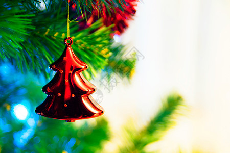 圣诞树 有圣诞节红酒 松树 闪亮的 绿色的 宏观 红色的背景图片