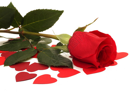 红玫瑰和纸心 花瓣 浪漫 宏观 我爱你 热情 周年纪念日 美丽的图片