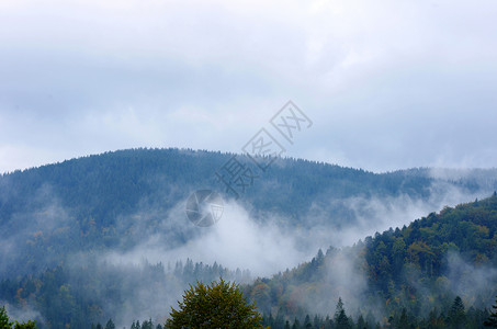 山上夏日清晨的福吉 喀尔巴阡山脉 乌克兰 树 场景阳光高清图片素材